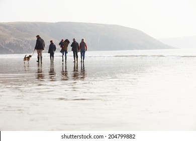 Multi Generation Family Walking On Winter Beach With Dog