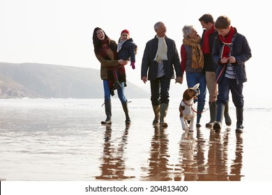 Multi Generation Family Walking On Winter Beach With Dog