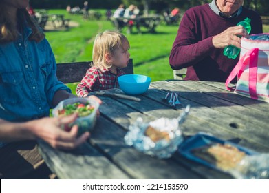 A Multi Generational Family Is Having A Picnic At A Table