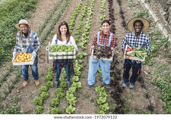 Multi generational farmer\
team holding wood boxes with fresh organic vegetables - Focus on\
faces