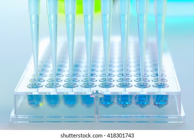 Multi pipette adding samples to multi well tray in a laboratory