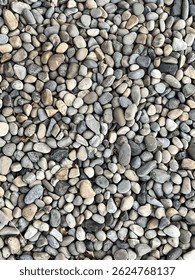 Multi tiny rocks of gray color