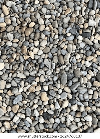 Multi tiny rocks of gray color