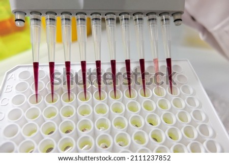 A multichannel pipet during dosing different solutions onto a white 96-well plate in order to perform a biological assay during drug discovery program. 