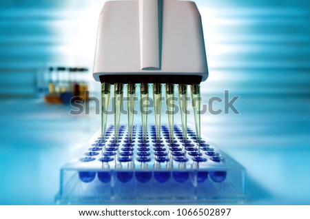 Multichannel pipette loading samples in pcr microplate with 96 wells / Multi channel pipette loading biological samples in microplate for test in the laboratory 