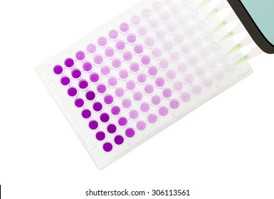 multichannel pipette test sample on wells plate