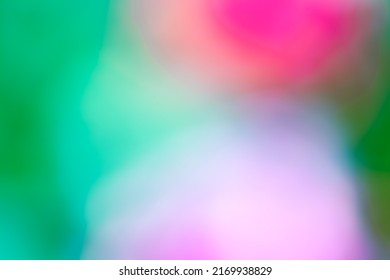 Multicolor Background Concept - Soft Focus Natural Color Gradient - Hyper Macro - Hyper Blur