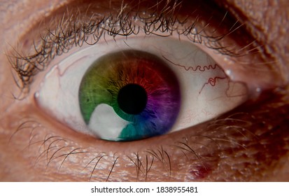 Multicolor eye isolated in macro