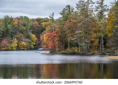 Multicolor forest at Byrd lake in the Cumberland mountain state park in Tennessee on a overcast day in autumn