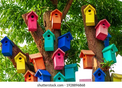 Multicolored Birdhouses.Colored nesting box. Colorful Bird Houses. Houses for birds on a tree