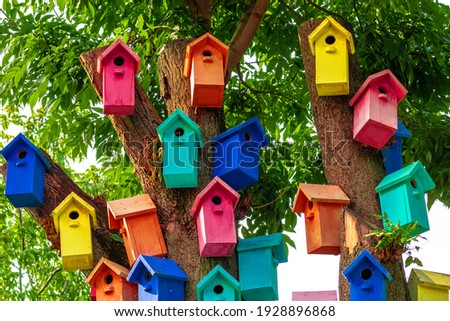 Multicolored Birdhouses.Colored nesting box. Colorful Bird Houses. Houses for birds on a tree
