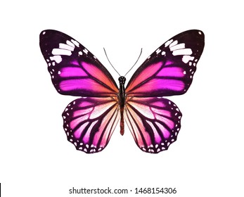 1,119,703 Colored butterflies Images, Stock Photos & Vectors | Shutterstock