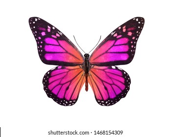 38,920 Multicolored butterfly Images, Stock Photos & Vectors | Shutterstock