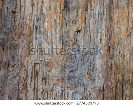 Multicolored columnar basalt cliff face with vertical rock texture and rugged geological detail in BC, Canada.