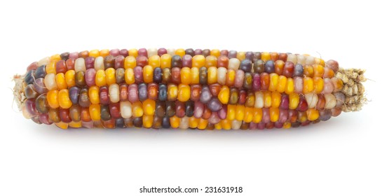 Multicolored Ear Of Indian Corn On White Background