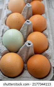 Multicolored Eggs In A 12 Pack Paper Cardboard Carton