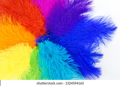 Multicolored Feathers On White Background Carnival Stock Photo