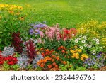 Multi-colored flower bed in the park. Lots of beautiful summer flowers. Lush bright flowering in the garden. Multicolor blooming front garden. Outdoor summer gardening.
