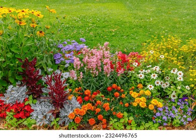 Multi-colored flower bed in the park. Lots of beautiful summer flowers. Lush bright flowering in the garden. Multicolor blooming front garden. Outdoor summer gardening. - Shutterstock ID 2324496765