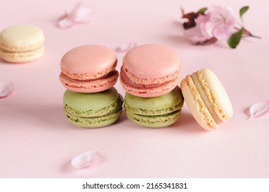 Multicolored French macarons on a pink background with spring flowers. Selective focus in daylight