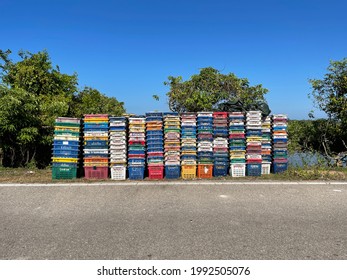 Multicolored Fruit Baskets Are Arranged In Tiers On The Side Of The Road Before Being Lifted Into A Lorry To Be Taken To A Field Or Market. Thai Writing On Baskets Means Fruit Baskets.