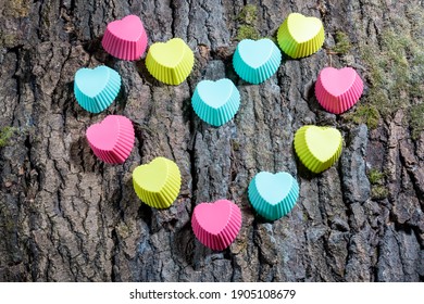 multicolored hearts with a pattern on the bark of a tree with moss, close-up