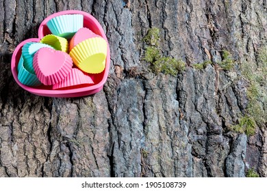 multicolored hearts with a pattern on the bark of a tree with moss, close-up