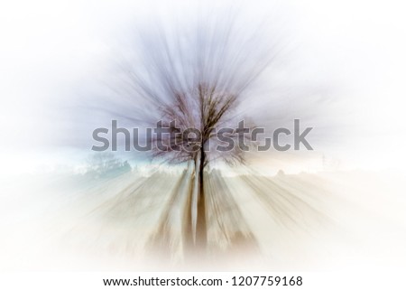 Similar – Foto Bild Wintersonne Baum Herbst