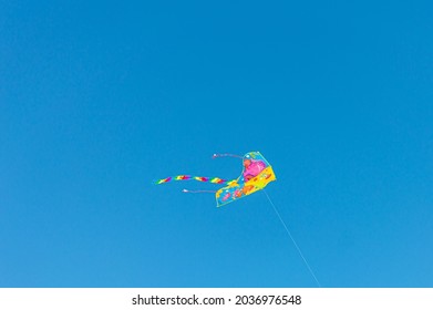 Multicolored Kite In Blue Sly