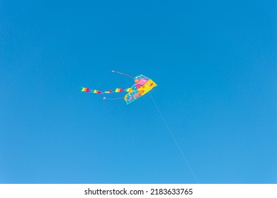 Multicolored Kite In Blue Sly