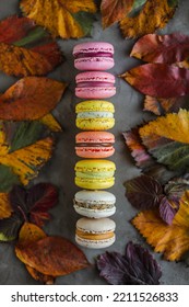 Multicolored macarons on a dark background with autumn leaves. French almond dessert in different flavors on a dark table.