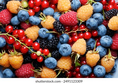 Multicolored mixed berries close up: blueberries, raspberries, redcurrant, blackcurrant and mulberries. Food photography - Powered by Shutterstock