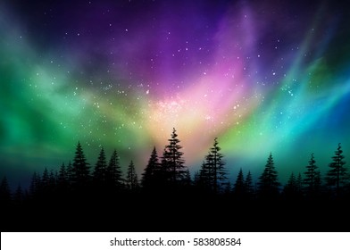 Multicolored northern lights (Aurora borealis) on Canadian forest                                - Shutterstock ID 583808584