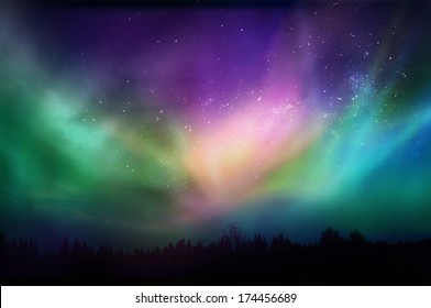 Multicolored northern lights (Aurora borealis)on Canadian forest