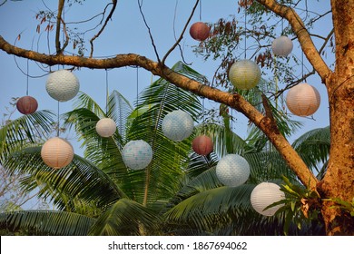 
Multi-colored Paper Lantern Decoration To Decorate The Venue By Hanging From The Plants.