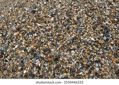 Multicolored Pebble Beach Close. Up
 - Powered by Shutterstock