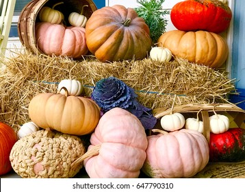 Multi-Colored Pumpkin Fest On The Porch - Old Fashioned Autumn Fun