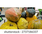 Multicolored pumpkins of different varieties piled up on a transparent background. High quality photo