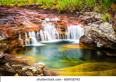 Multicolored River In Colombia, Cano Cristales