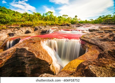 Multicolored river in Colombia, Cano Cristales
