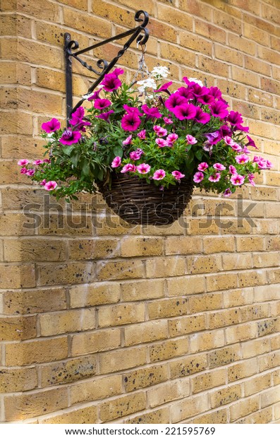 Multi-colored spring
flowers hanging in a
basket