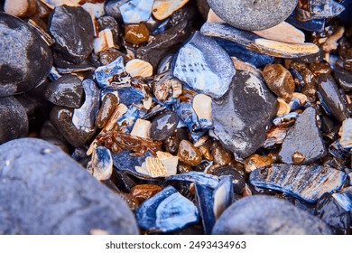 Multicolored Stones and Crab in Tide Pool Close-Up - Powered by Shutterstock