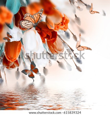 Similar – Autumn flowers and leaves on blue