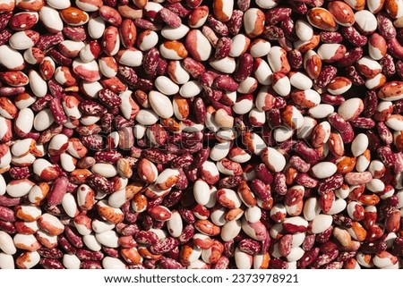 Multicolored variegated beans fill the entire frame. Background, texture, surface.