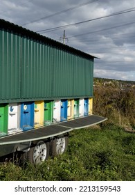 Multi-colored Wooden Bee Hives On A Trailer. Mobile Apiary.