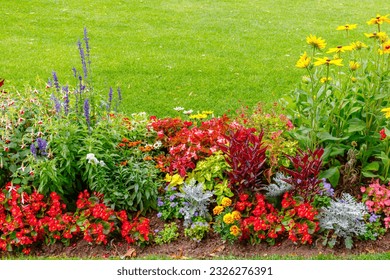 Multicolour blooming front garden. Outdoor summer gardening. Multi-colored flower bed in the park. Lots of beautiful summer flowers. Lush bright flowering in the garden. - Powered by Shutterstock