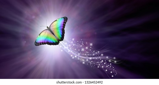  Multicoloured Butterfly taking flight into the Light - a large butterfly rising up with a trail of sparkles against a purple radiating background into the light with copy space
                      