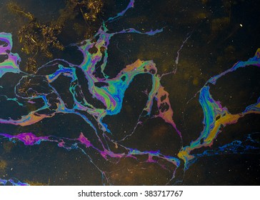 Multicoloured oil slick in a dragon like shape on a Cambodian lake  near Angkhor Wat