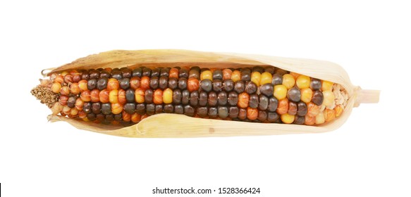 indian corn indian corn
