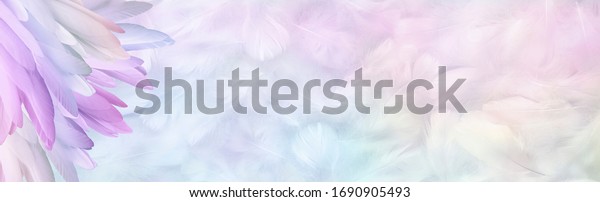 Multicoloured pastel Angel Feather Message Banner\
Background - a pile of long rainbow coloured feathers in left\
corner and wide message area with pastel coloured small random\
fluffy feathers\
\
